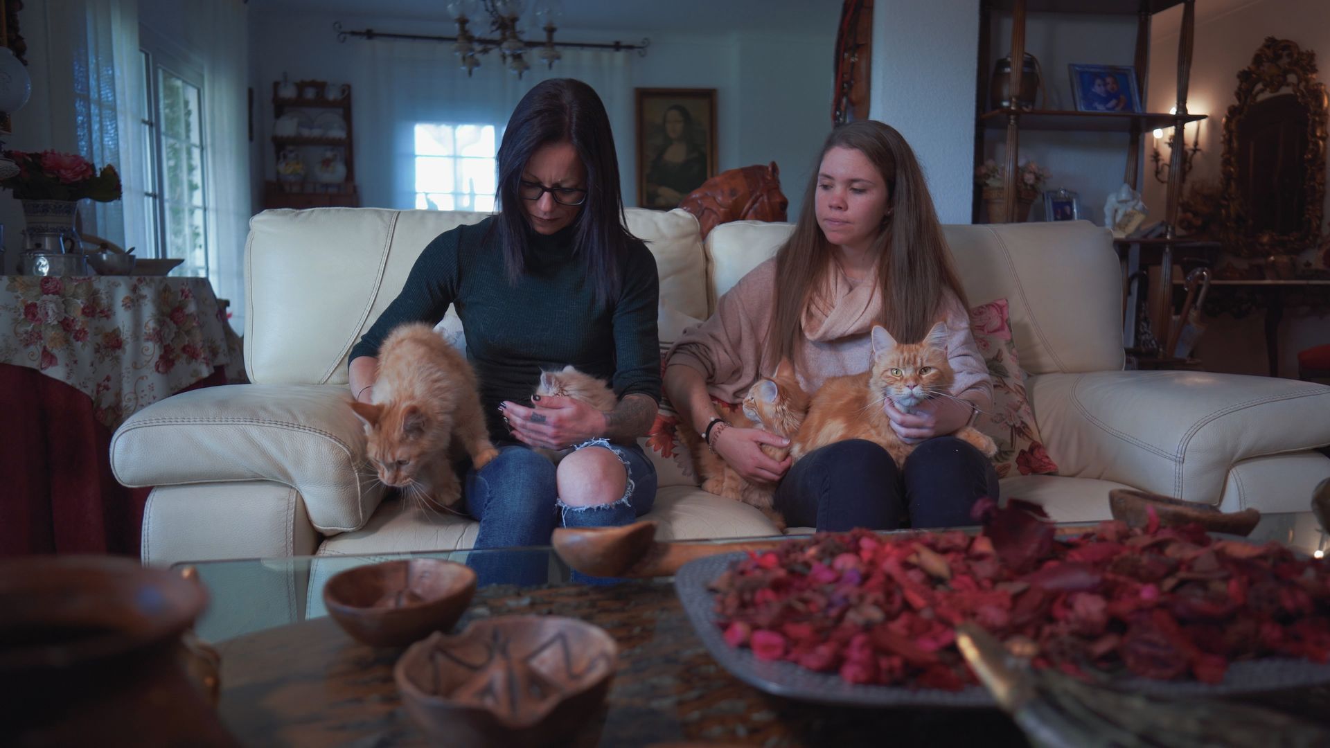 Dos mujeres sentadas en un sofá acariciando a varios gatos naranjas en el interior de un salón cálido y decorado, con expresión de cariño y tranquilidad. Esta imagen ilustra la convivencia diaria con varios felinos y nos invita a reflexionar sobre cuánto cuesta mantener un gato cuando se integra plenamente en el hogar.